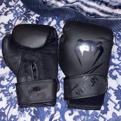 Venum Fighting Gloves 
