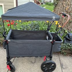 Wagon/Stroller