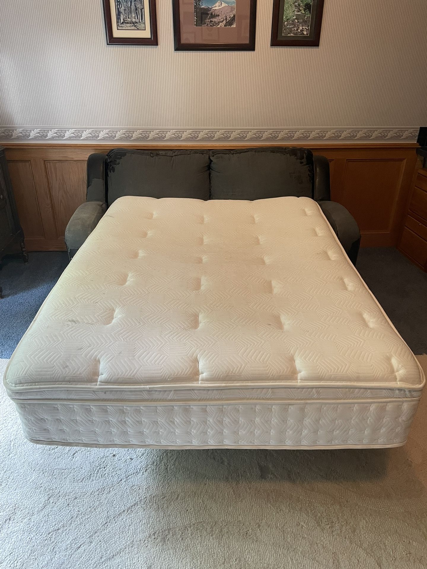 FREE Full Sized Mattress