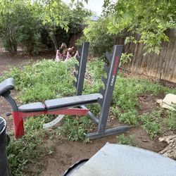 Weight Bench 
