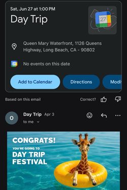(2) VIP Day Trip Wristbands