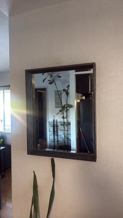 Mirror