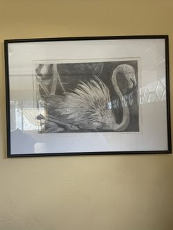 Nesting Flamingo