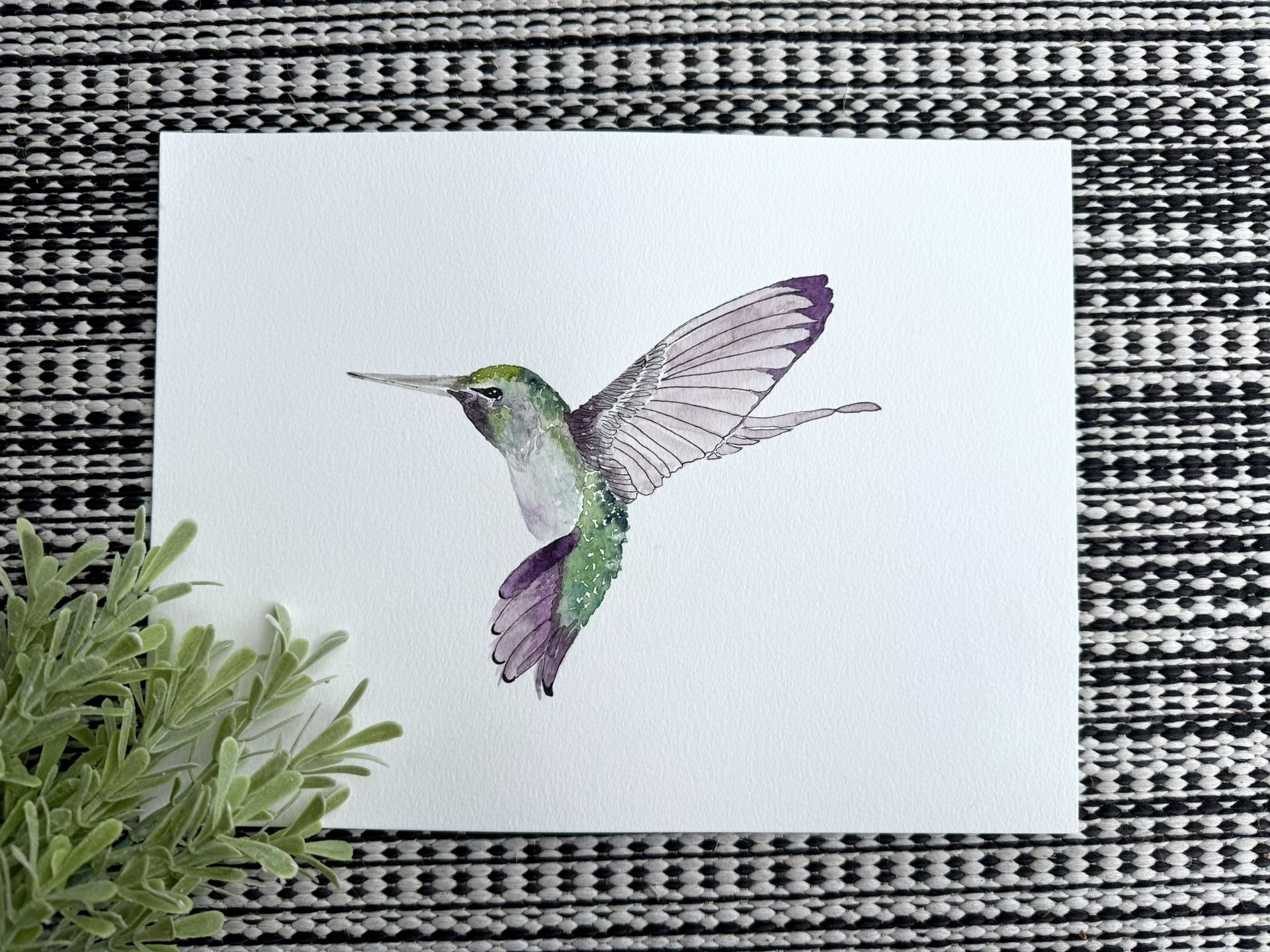 Hummingbird