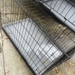 😎🎈🐕 Hola Para Perro Grande🥳