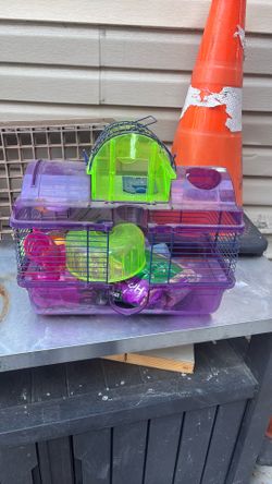 Free Hamster cage with food
