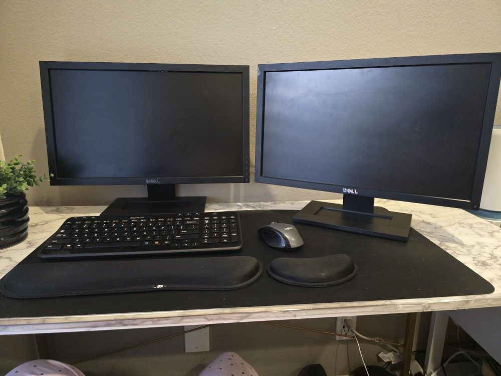 2 DELL Computer Monitor