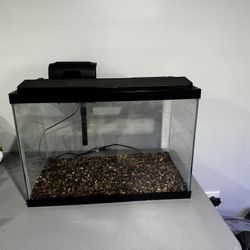 20 Gallon Aquarium And Accessories