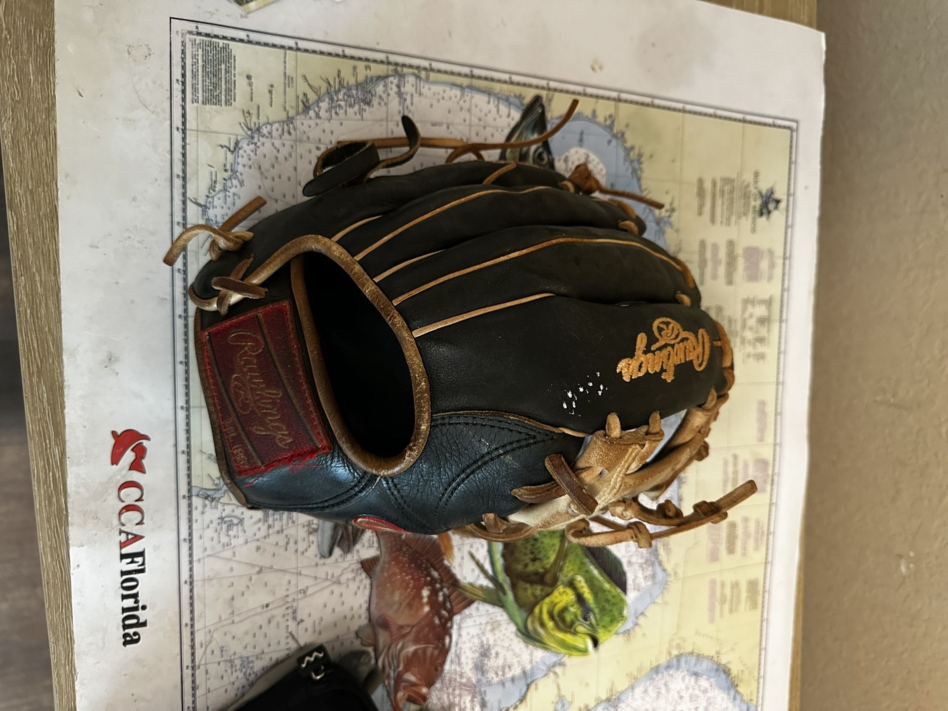 Rawling Glove