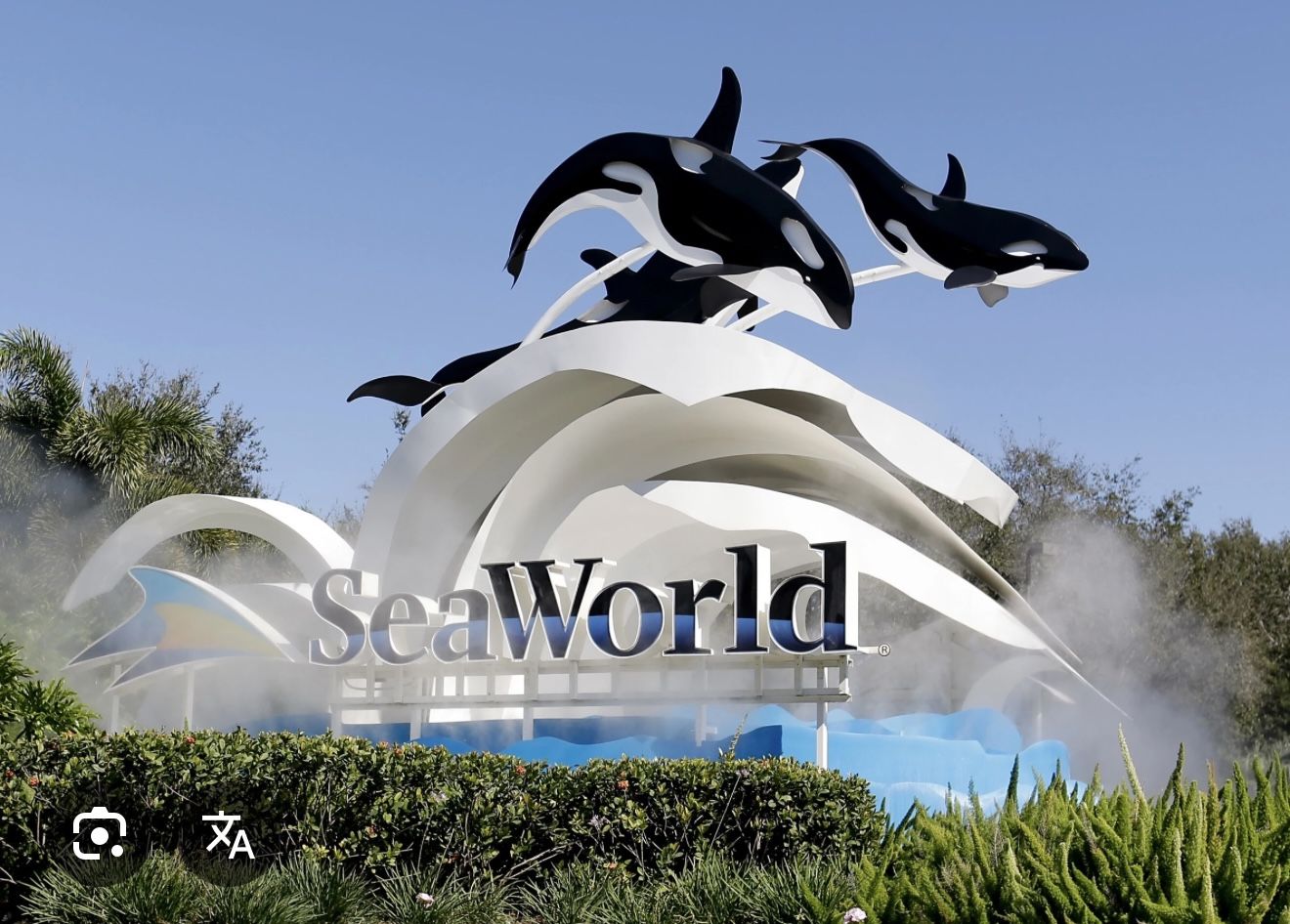 Ticket To Sea World