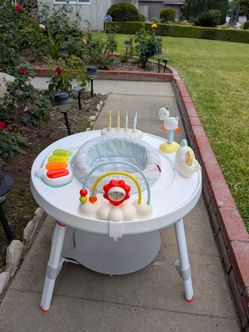 Skip Hop Baby Interactive Center