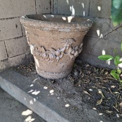 2x Medium Plant Pots $225