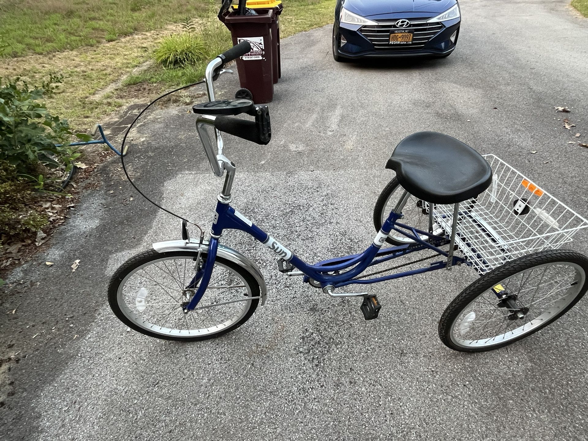 Adult Tricycle