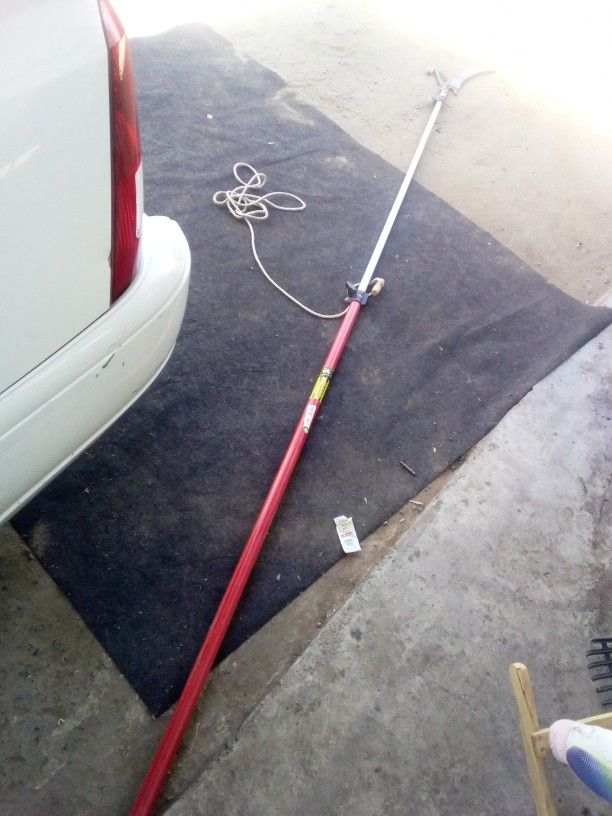 pole pruner or pole saw.