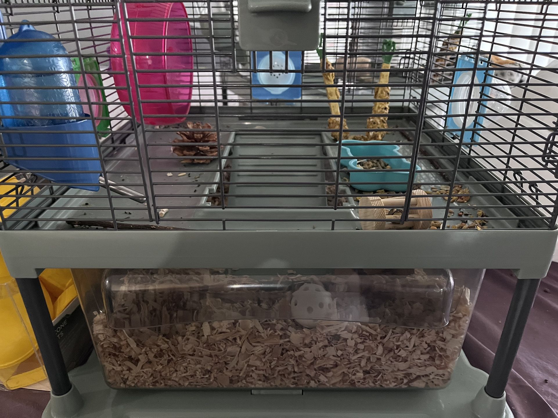 Hamster Cage With Hamster