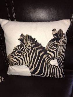 Iosis Decorative Pillow  $20  Both 