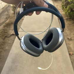 Apple Air Pod Maxes 