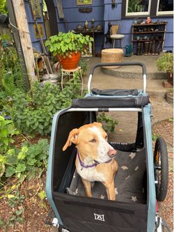 XL bark ranger bicycle trailer