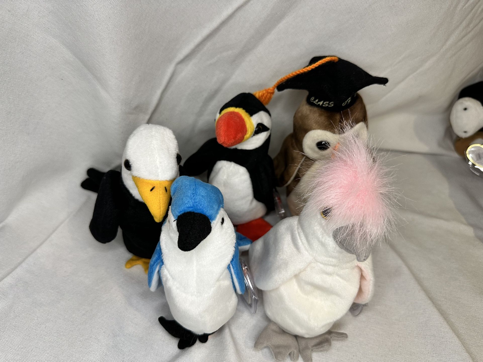 Beanie Baby Bird Set Of 5 #1
