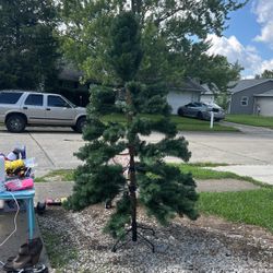 Xmas Tree