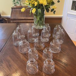 15 New Clear Glass Flower Vases
