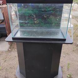 Fish tank and stand