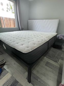 Cal King Platform bed frame and mattress
