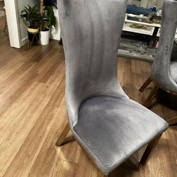 Dining Table Chair