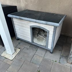 Dog House 