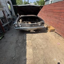 Barn Find 64