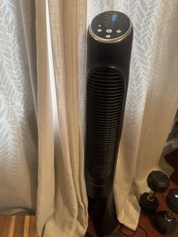 Fan