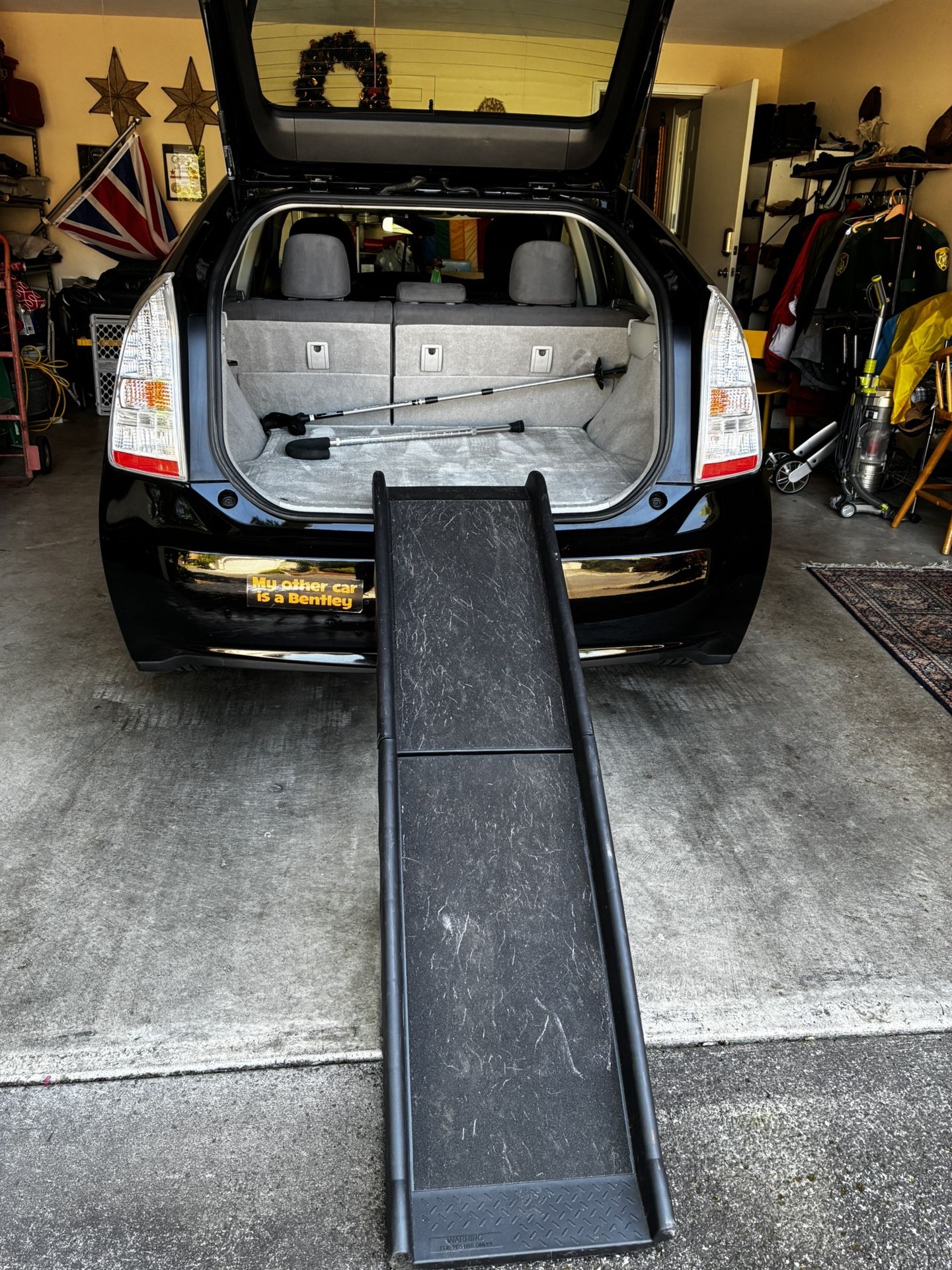 Dog Ramp