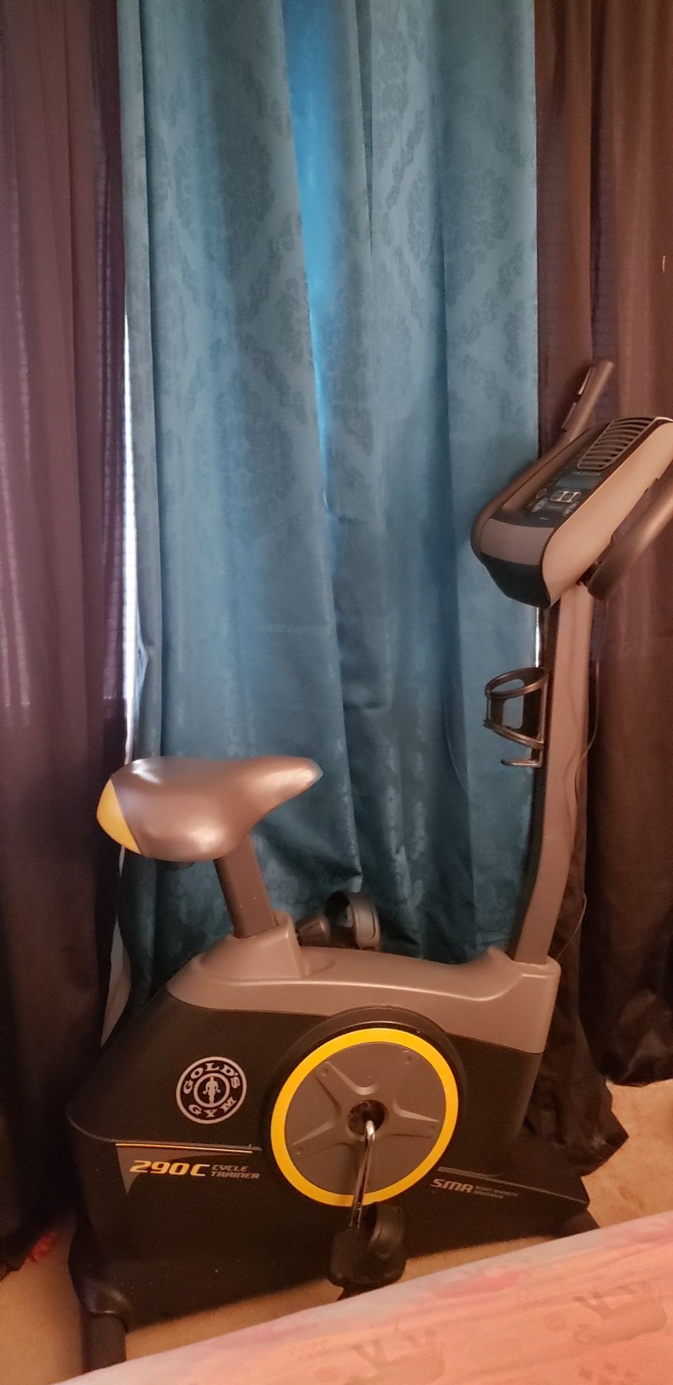 Gold gym stationary bike