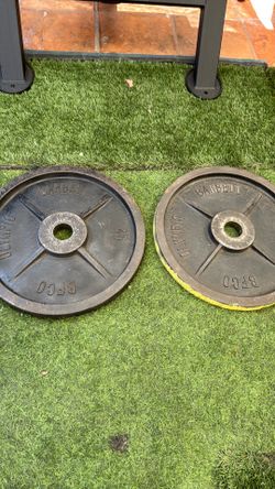 2 Vintage BFCO 45lb plates