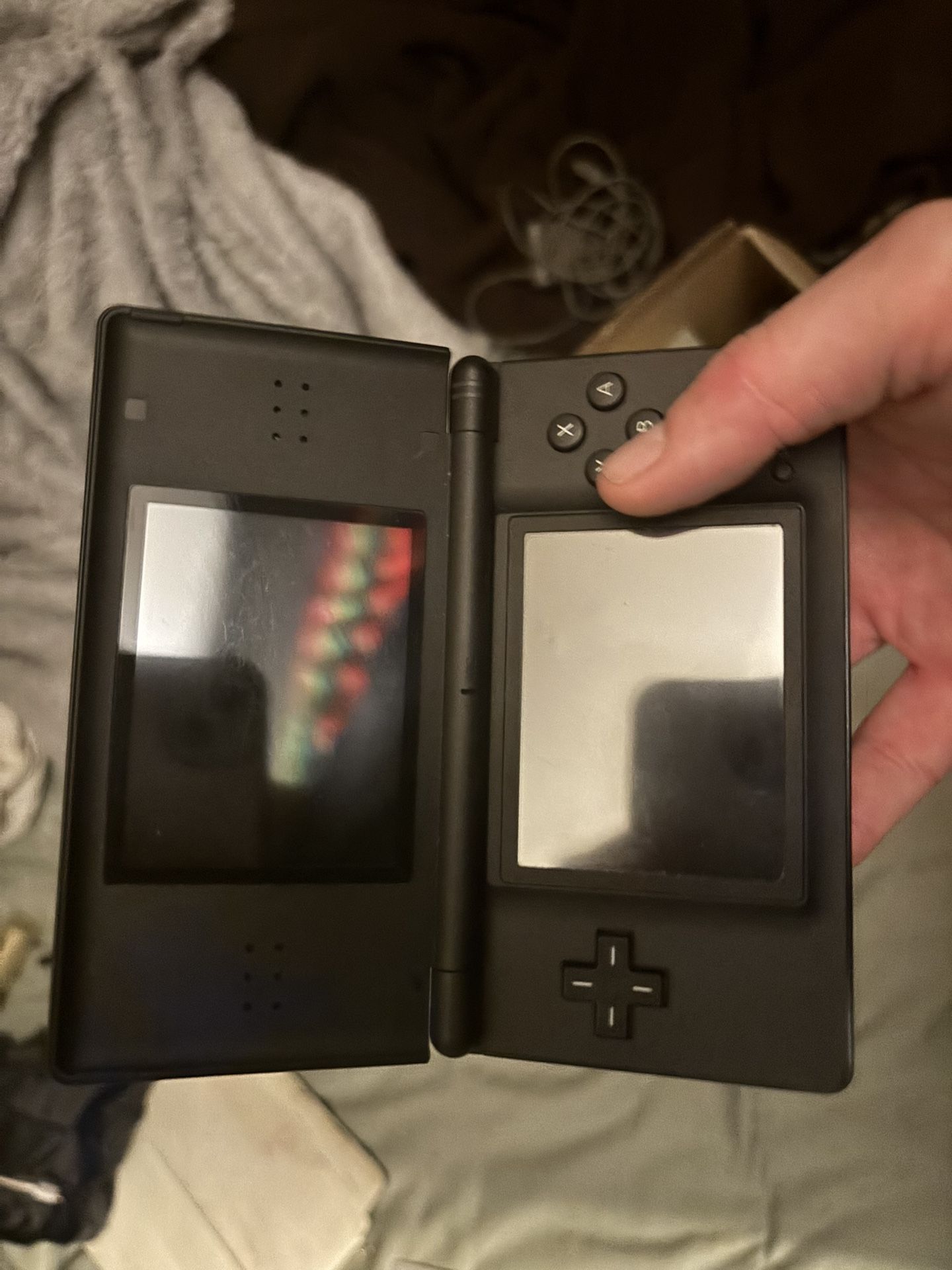 Nintendo DS (not The Mini)