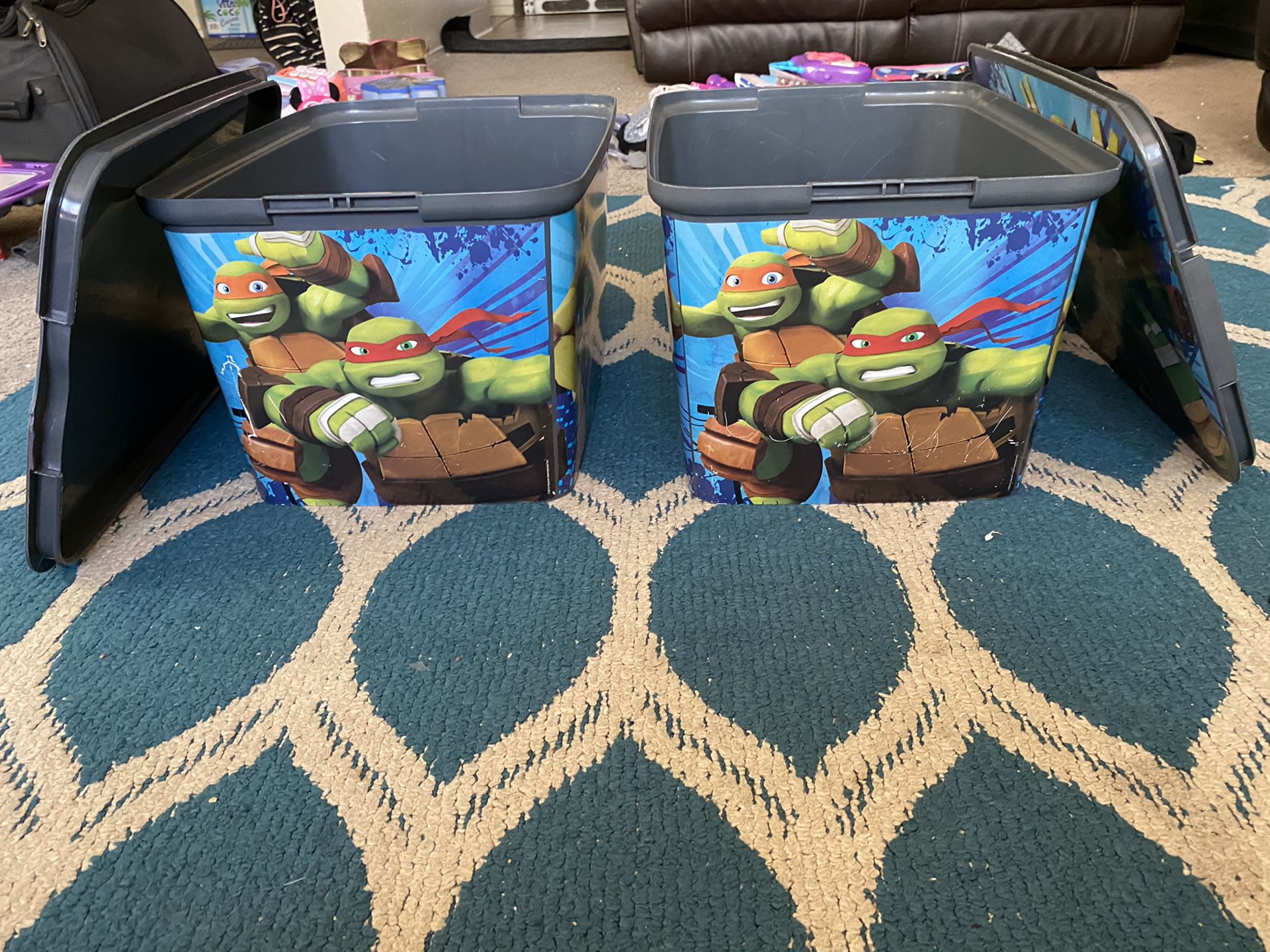 All purpose Ninja Turtle bins