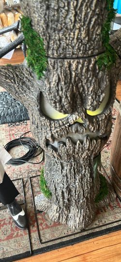Scowling sapling