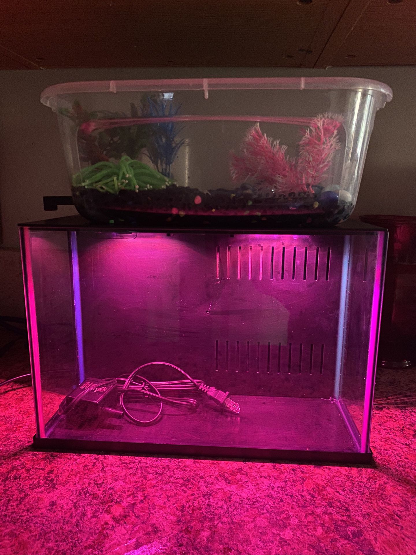 Top Fin Aquarium-everything included