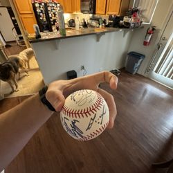 Multi Signature Astros Baseball