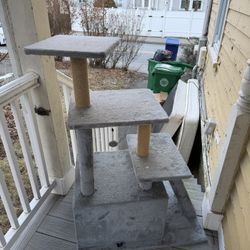 Cat Tree 