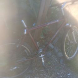 Trex 850