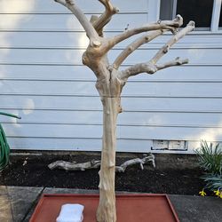 Javawood coffee wood tree bird play stand