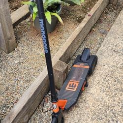 Electric Scooter 