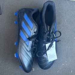 Soccer Shoes 
