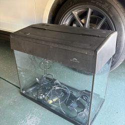 10 Gallon Fish Tank
