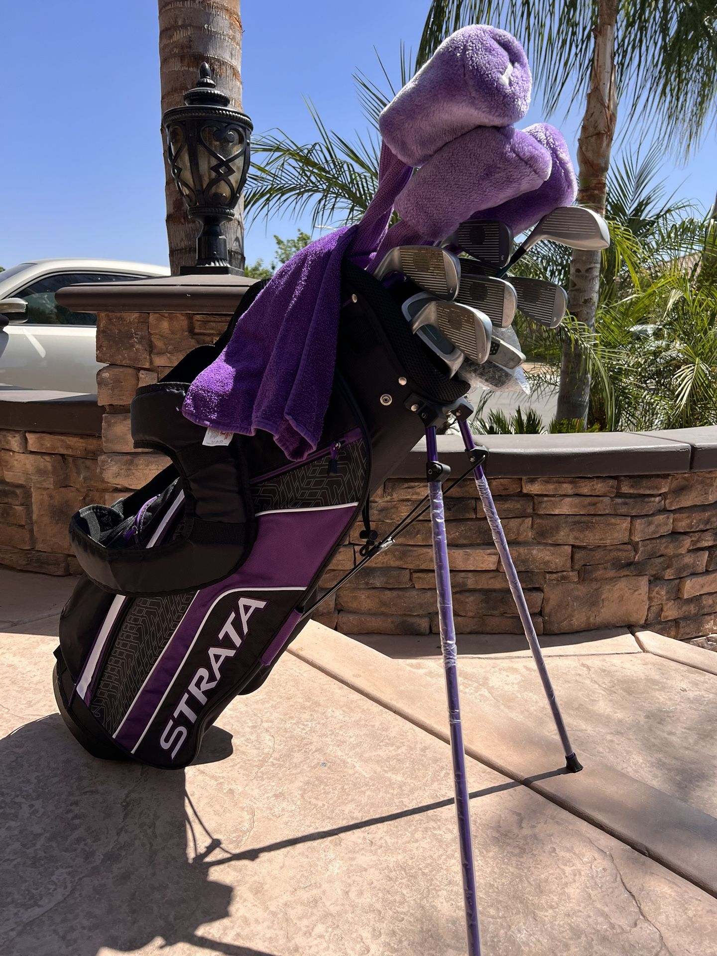 Golf Clubs ⛳️