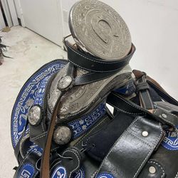 Montura charra súper bordada con Herrage y fuste plateado completo