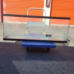 Aquarium Terrarium 50 Gallons 