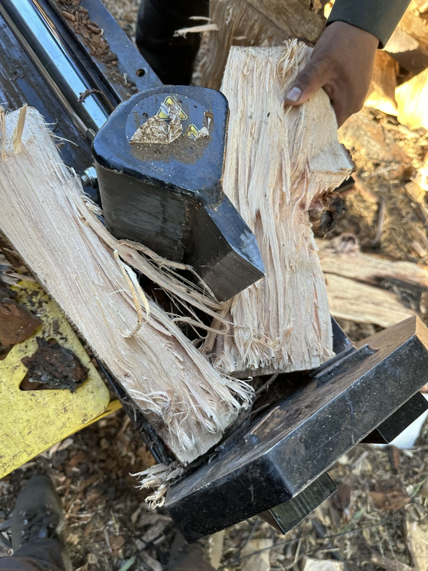 Oak Firewood 