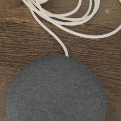 Google Nest Mini 